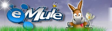 eMule Qt