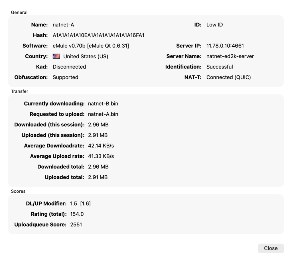 Client Details of a Low ID peer, with the NAT-T row reading Connected (QUIC) during a transfer